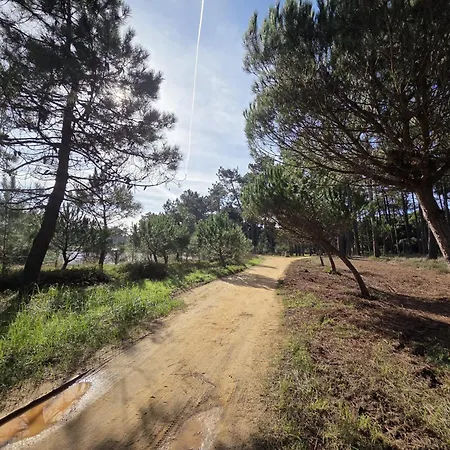 Casa Mar 別荘 Cortegaça